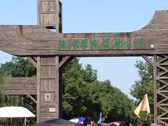 -溱湖国家湿地公园