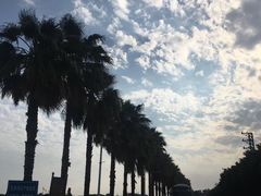 -大湾区中央湿地公园-十九涌