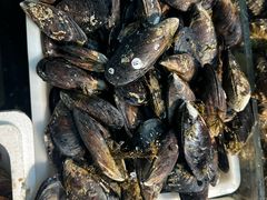 -岳各庄批发市场(西四环中路店)