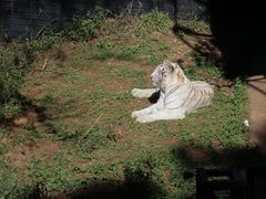 -昆明动物园