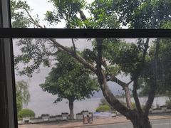 -野菌皇海景野生菌火锅(滨海大道店)