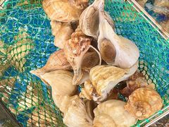 -红月湾海鲜饭店•沙滩海景(双月湾店)