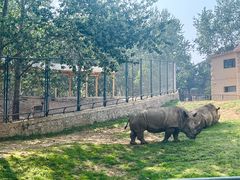 -大连森林动物园