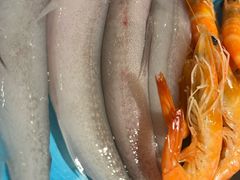 -蒙肥羊·潮汕牛肉火锅烤肉自助(拱北店)