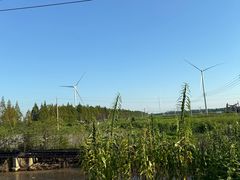 -小李子油焖大虾向阳总店