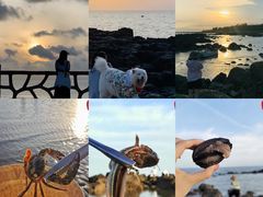 -硇洲岛旅游区