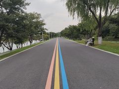 -羊山湖公园