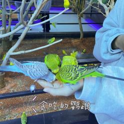 -未来动物城动物主题公园(大悦城店)