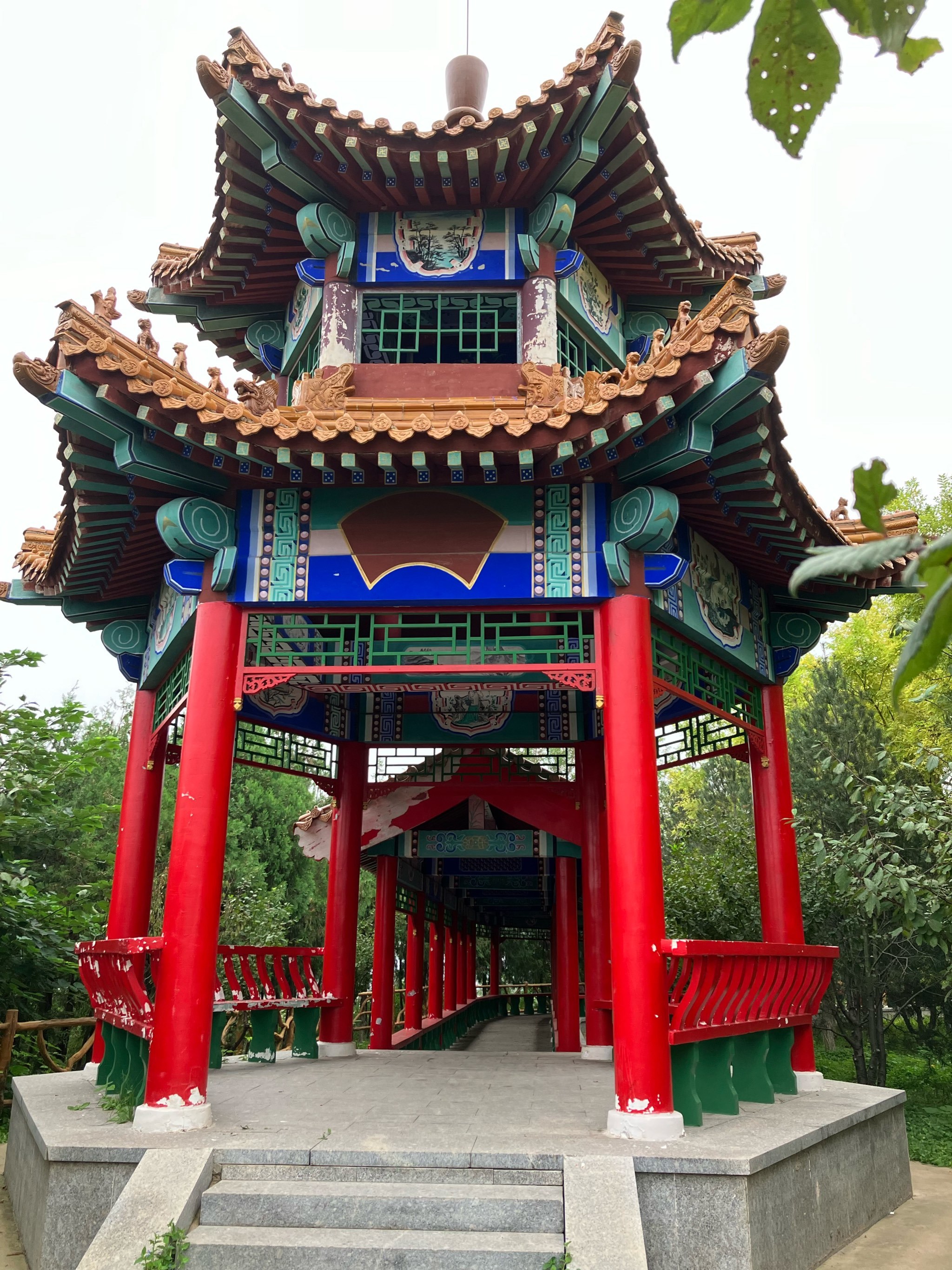 🌲🌳🌿幽静美丽的绿色森林