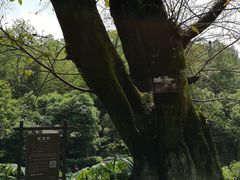 -重庆抗战遗址博物馆