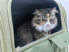 -拜鲁耶动物诊疗中心·宠家动物医院