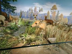 -陕西自然博物馆