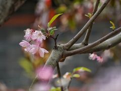 -秦皇岛路游船码头