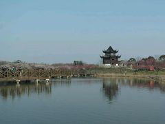 android_upload_pic-上海海湾国家森林公园