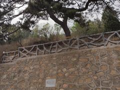 景点-北京西山国家森林公园