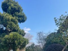 -云里小坐·海泉湾·团建·宴席·下午茶(金堂海泉湾店)