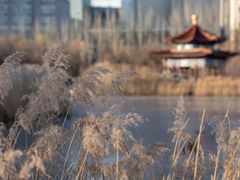 -青城公园