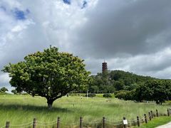 -红花山公园