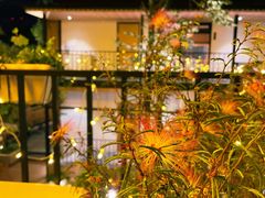 -往来·竹里.宝宝宴.生日宴.团建.宴席(花乡农居店)