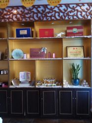 -归真美学颜究中心