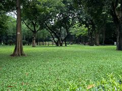 -晓港公园