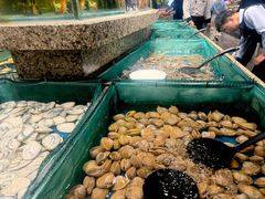 -初色海鲜自助(万丰路店)