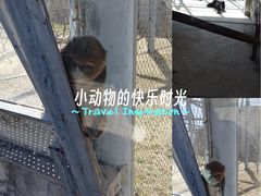 -太原动物园