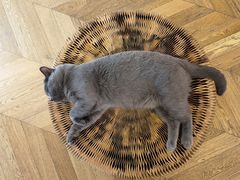 -Me Coffee下午茶艺术空间