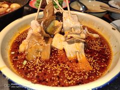 -李子坝梁山鸡(李子坝大鸡哥店)