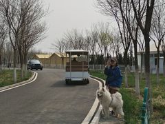 -天津东丽湖风景区