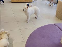 -怪兽屋·羊驼·猫咖·狗咖(俊华广场店)