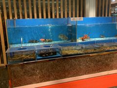 -蓝钻·国际美食海鲜自助百汇(西直门店)