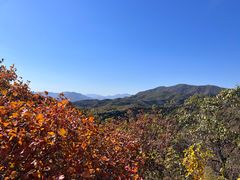 -北京西山国家森林公园