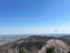 -香山公园