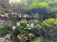 -上海醉白池公园