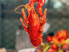 -红盔甲·小龙虾(人民广场店)