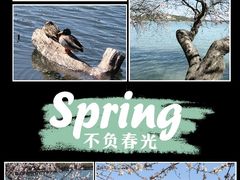 -颐和园