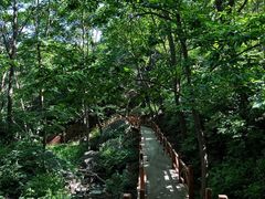 -大岭沟猕猴桃谷风景区