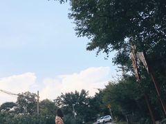 -三圣花乡旅游区