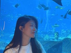 -亚特兰蒂斯•OSSIANO奥西亚诺海底餐厅