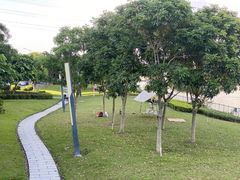 -荔湾湖公园