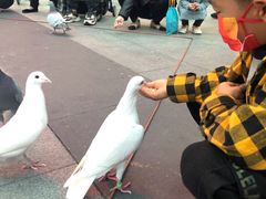 -KKV(深圳宏发大仟里店)