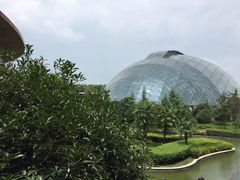 -洪湖悦兮半岛国际温泉度假村