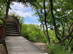 -帽儿山国家森林公园