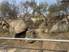 -白水寺森林公园