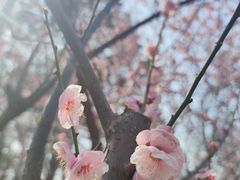 -白塘生态植物园