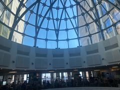 -历史系光华楼西楼19