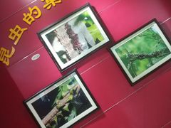 -上海昆虫博物馆