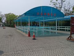 游乐设施-上海海湾国家森林公园
