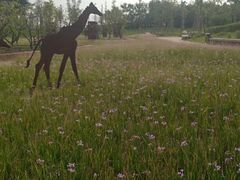 -白鹭湾湿地公园